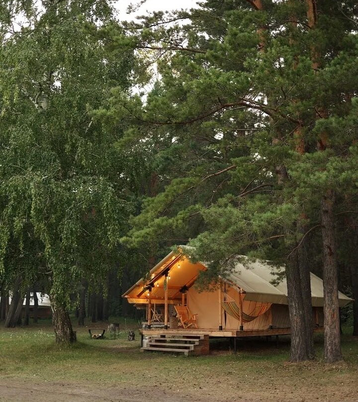 Morelesa