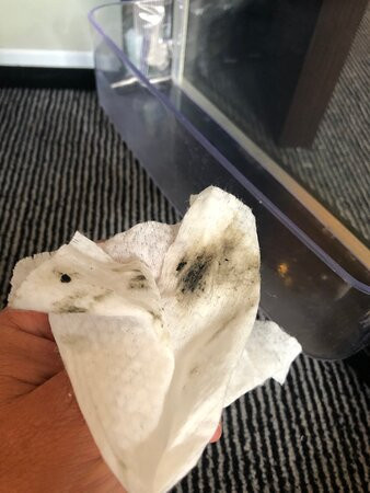 第一维多利亚酒店主图