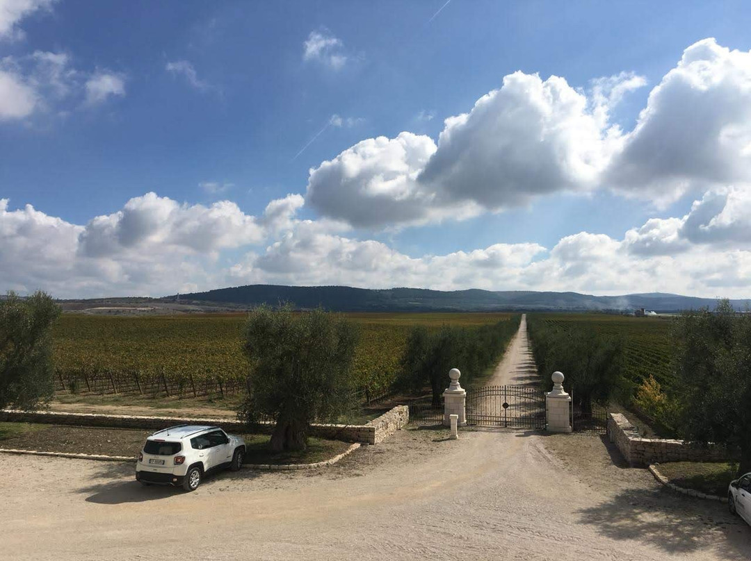 Tenuta Bocca di Lupo景点图片