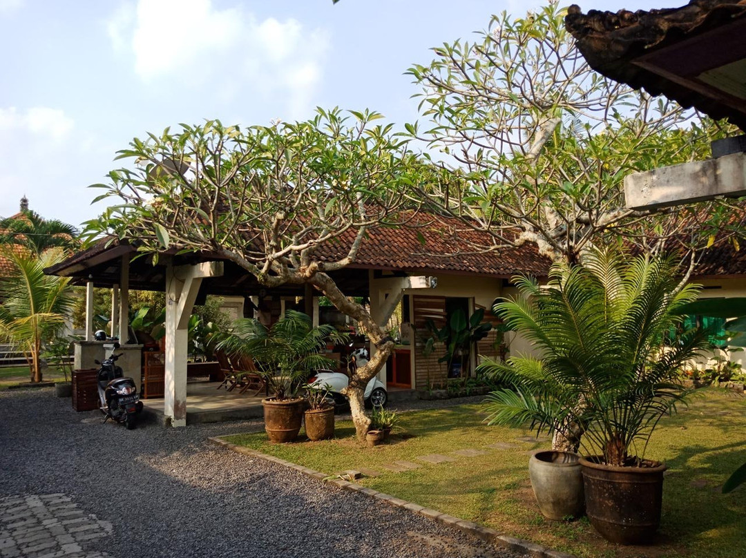 Bali Budaya Cultural Village and Spiritual Journey景点图片