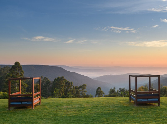 Ixopo餐馆和美食-The Honey Bird Café