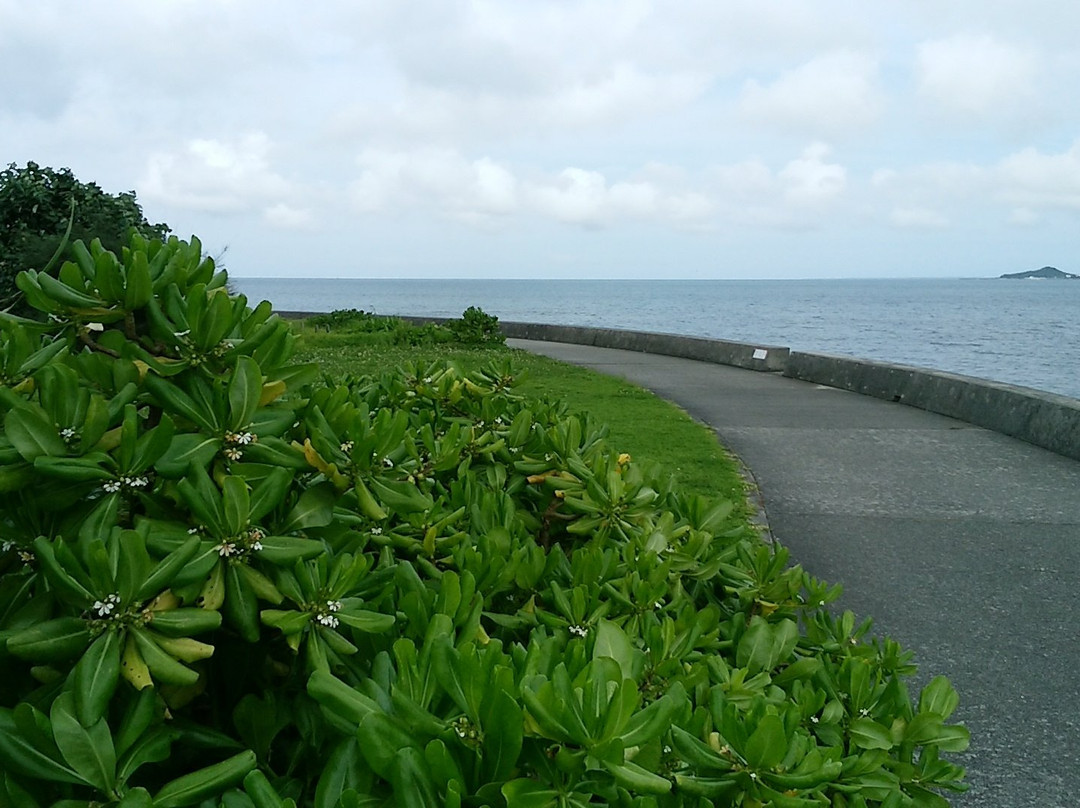 Nishihara Yonabaru Marine Park景点图片