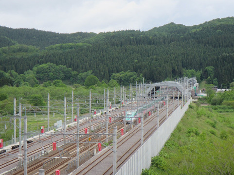 上矶郡旅游攻略图片