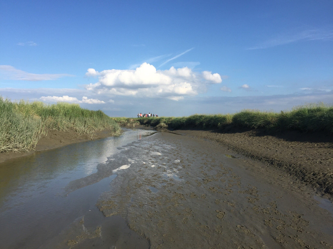 Nieuw-Namen旅游攻略图片