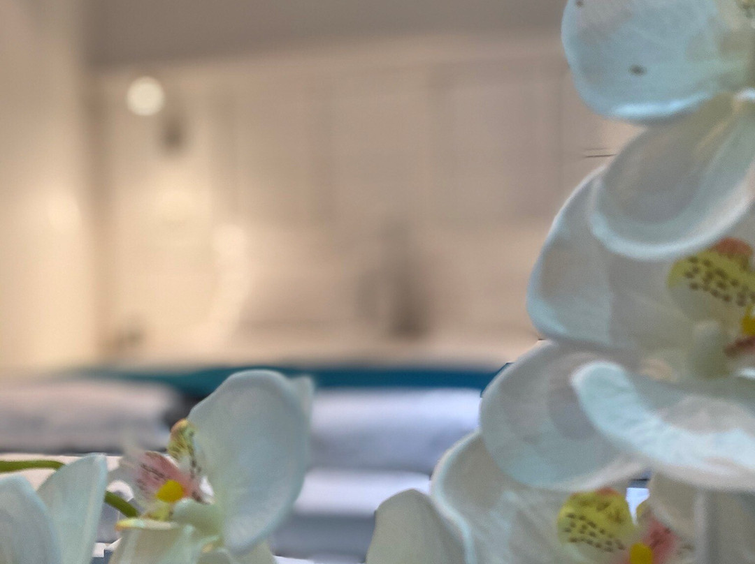 Netzeband旅游攻略图片