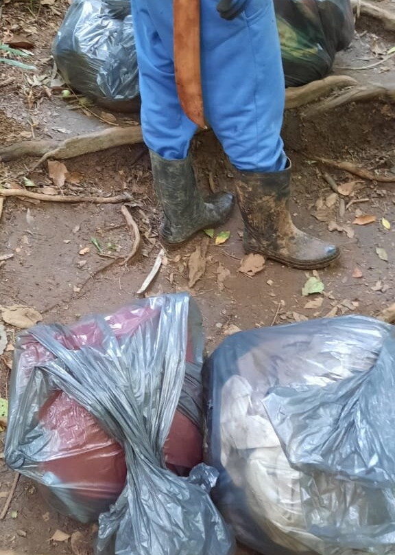 Cachoeira da Graça-Cotia必去景点