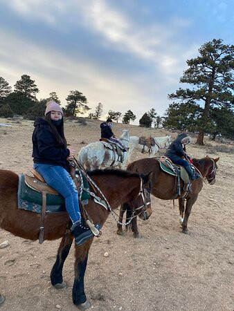 Elkhorn Stables-埃斯蒂斯公园必去景点
