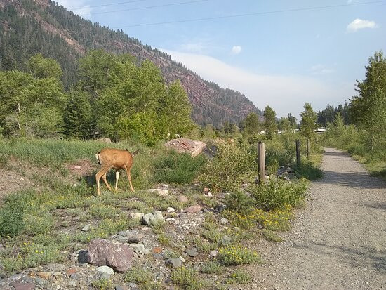 Ouray Riverside Resort主图