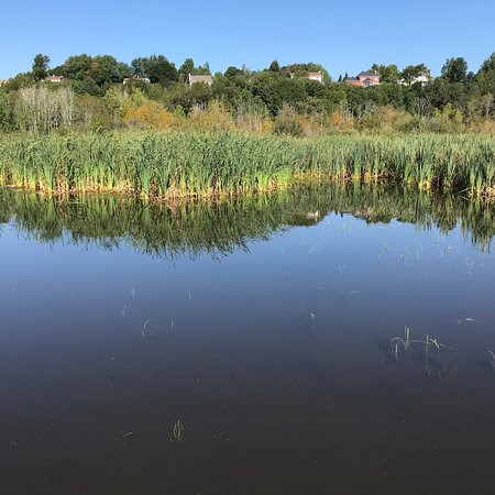 Réserve naturelle du Marais-Léon-Provancher-Neuville必去景点