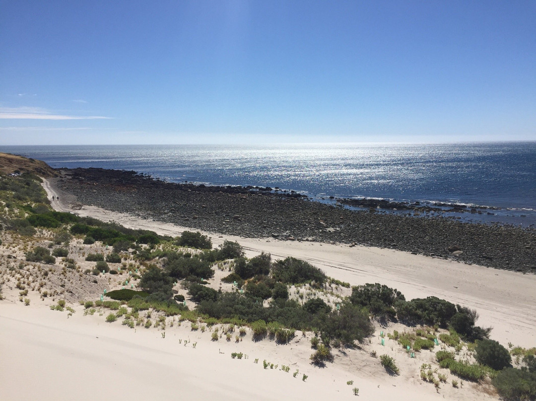 Morgan Beach-Cape Jervis必去景点