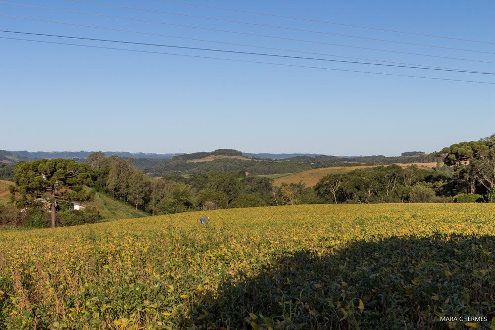 Capela N.sra. Czestochowa