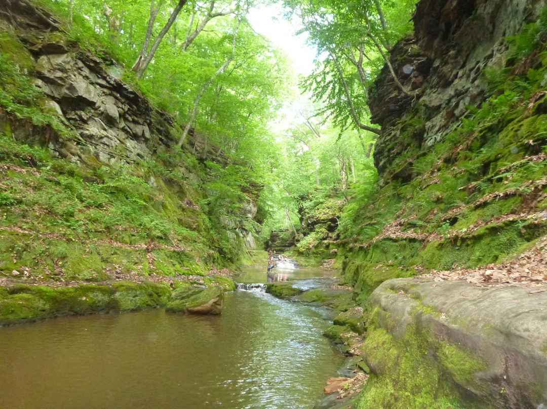 巴拉布旅游攻略图片
