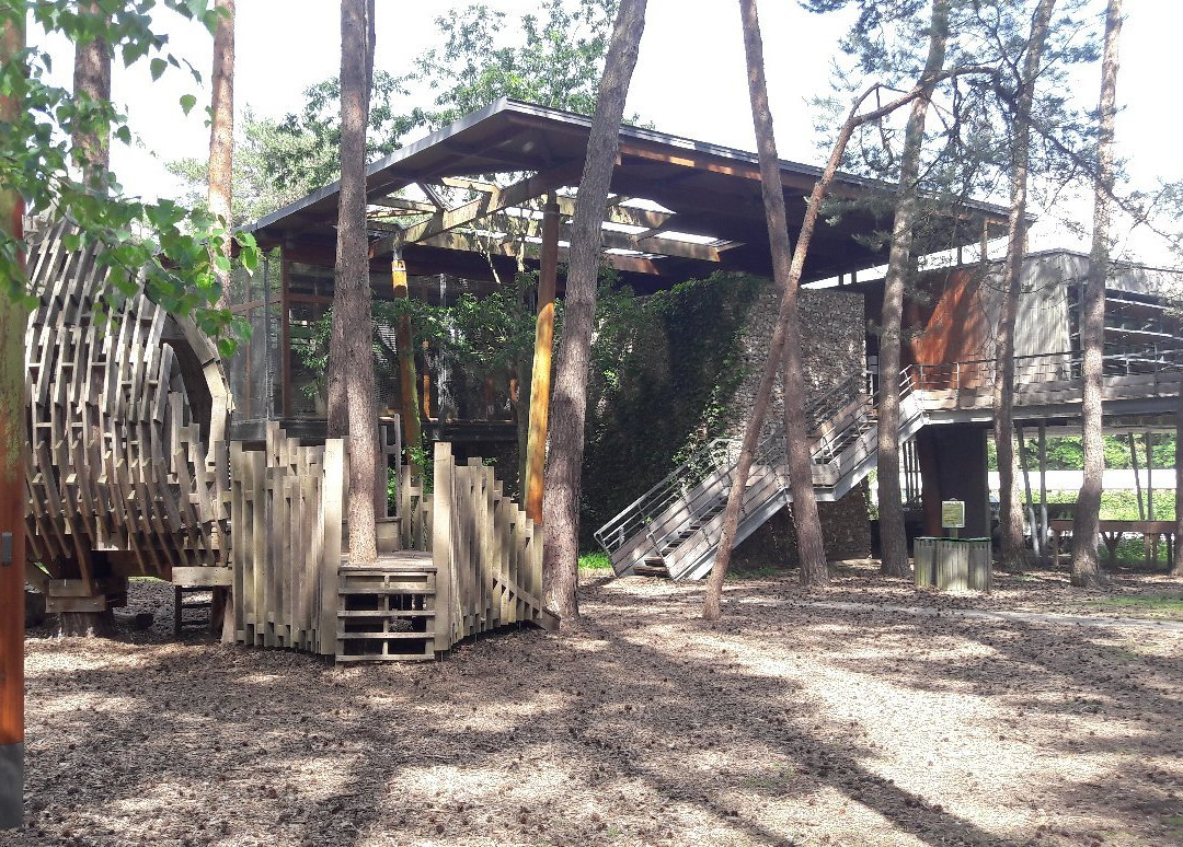 Maison des Forêts景点图片