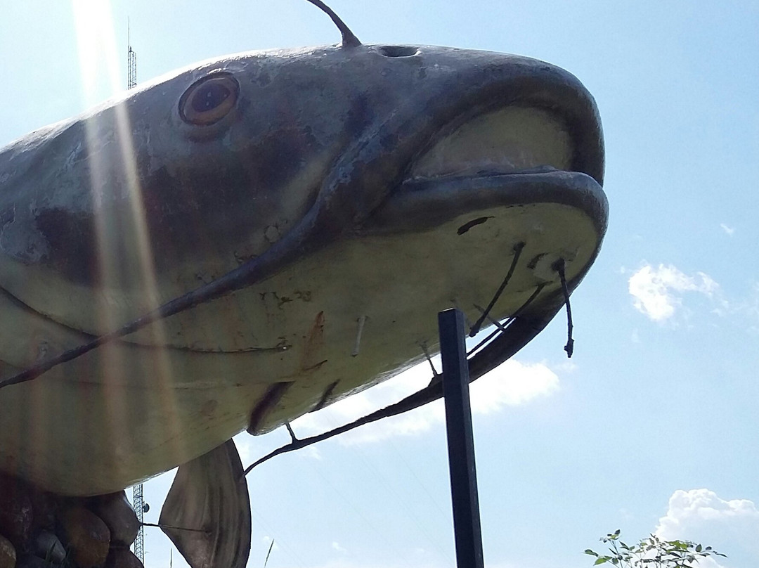 Wahpeton Wahpper - World's Largest Catfish景点图片