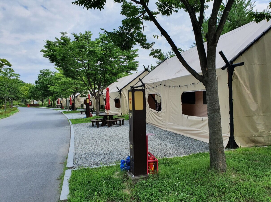 Daecheong Lake Lohas Camping Ground