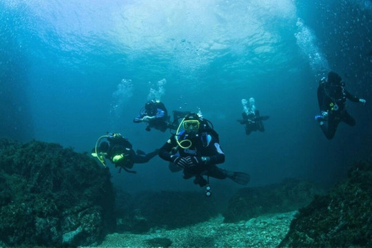 Diving Gelendzhik