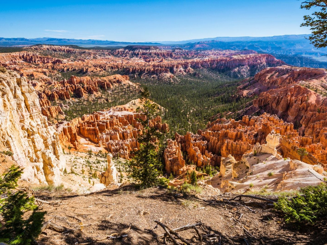 Bryce Point景点图片