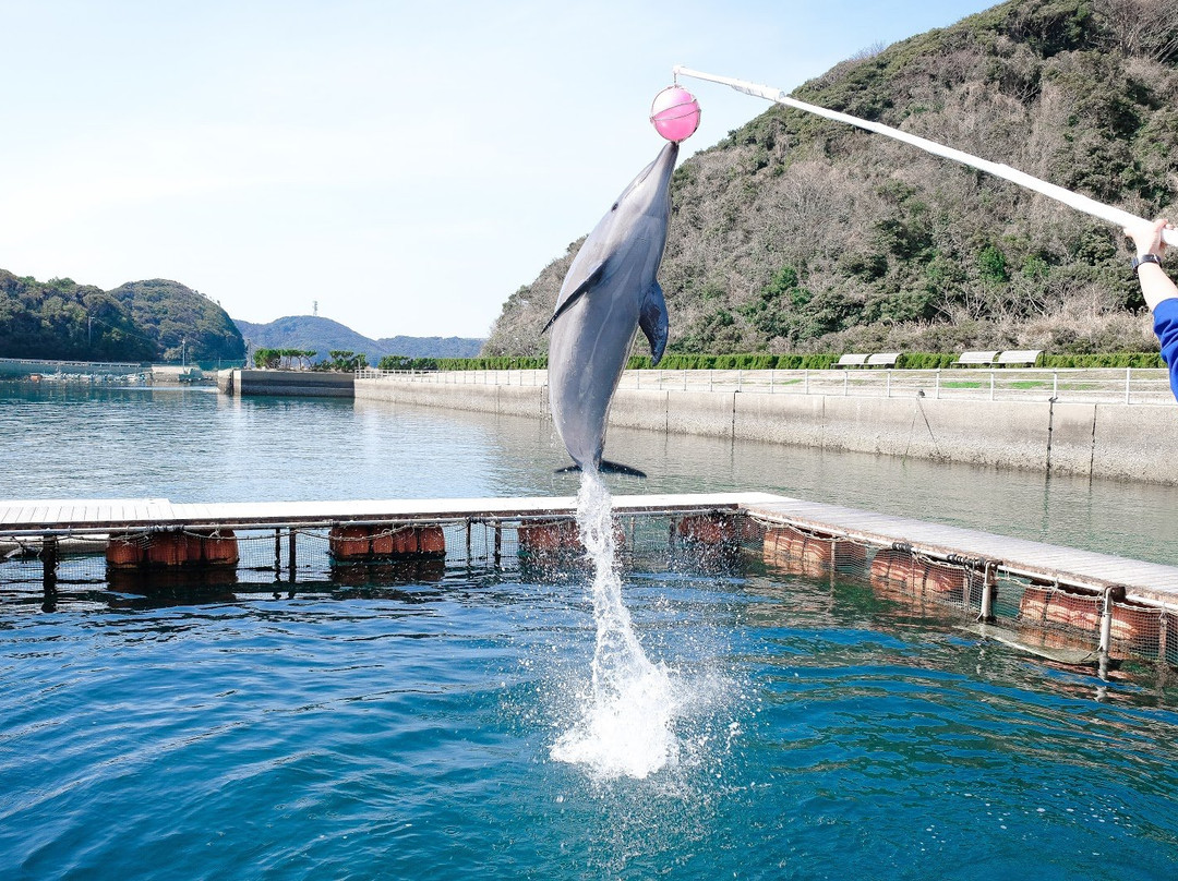 Iki Iruka Park & Resort