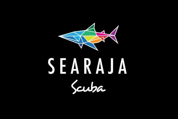 SEA RAJA SCUBA-是拉差必去景点