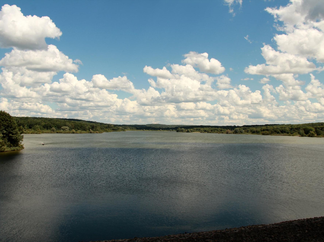 Woodcock Lake Park景点图片