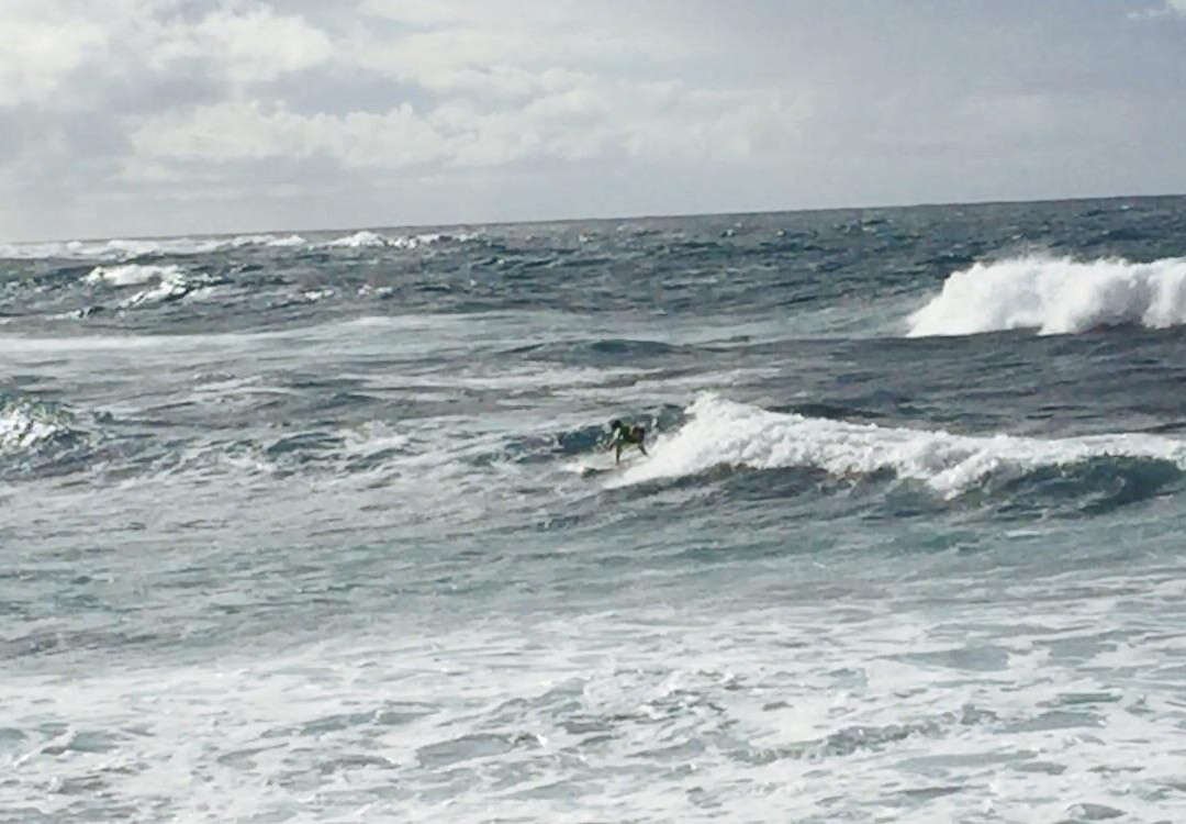 Hans Hedemann Surf School-卡胡库必去景点