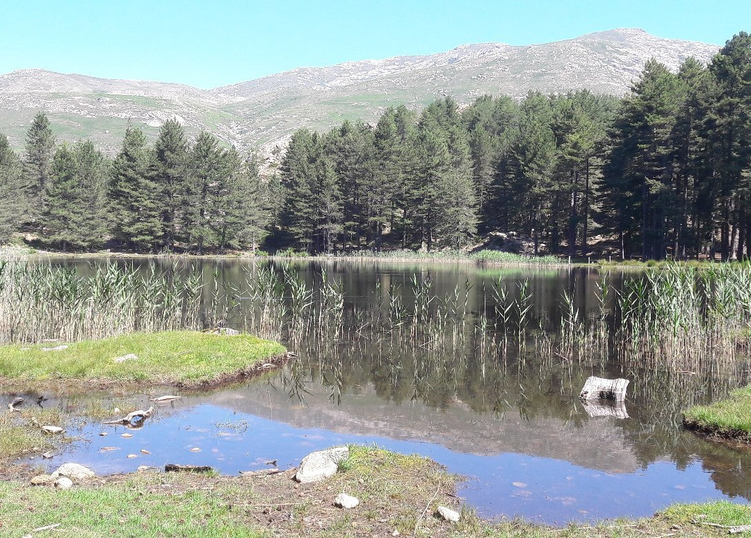Lac de Creno景点图片
