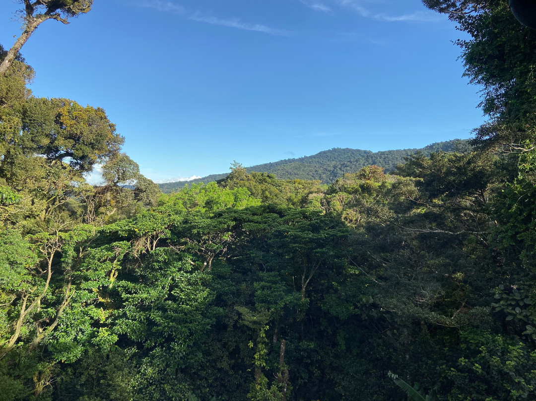 Hotel Trapp Family.主图