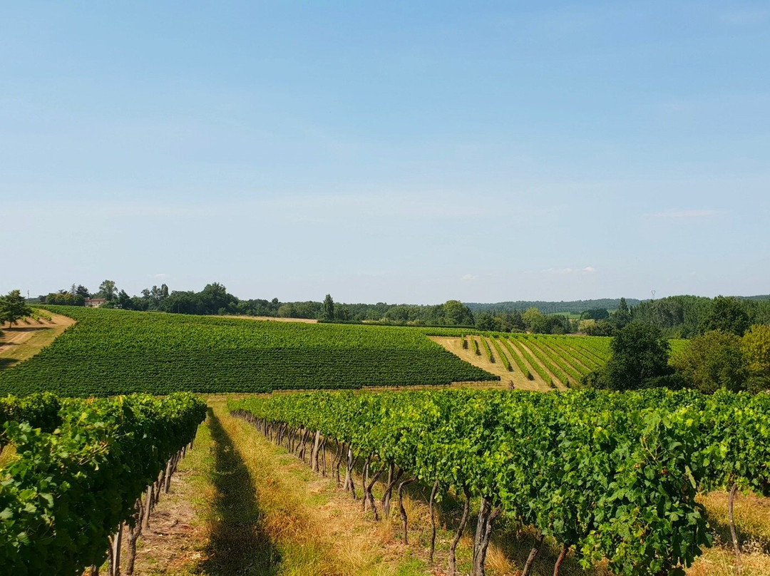 Vignobles Combefreyroux景点图片