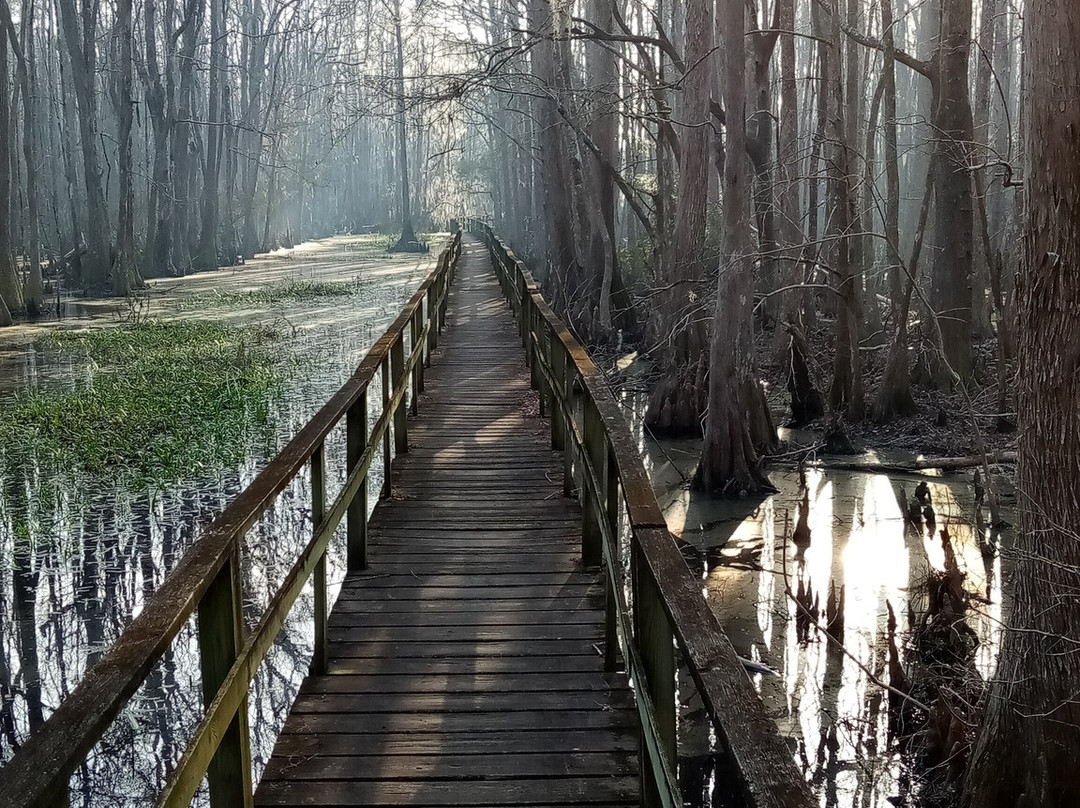 Santee Coastal Reserve景点图片