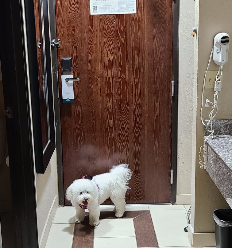 Quality Inn Galesburg Near US Highway 34 And I-74主图