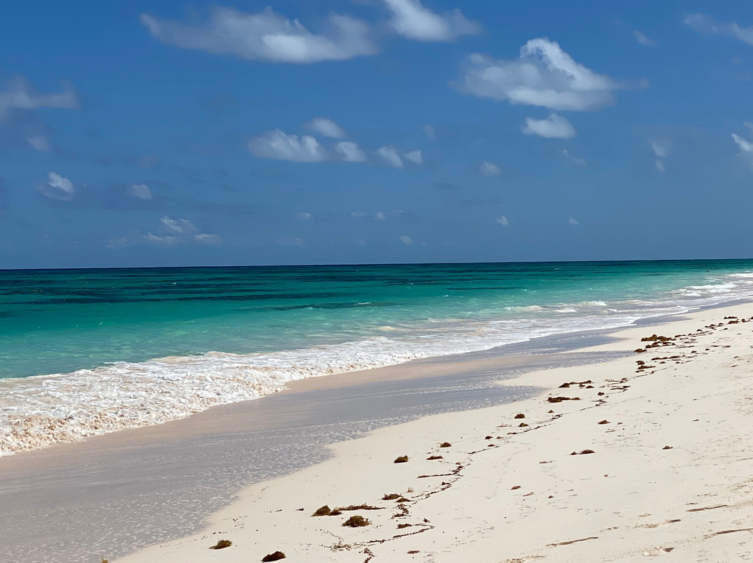 Greenwood Beach Resort主图