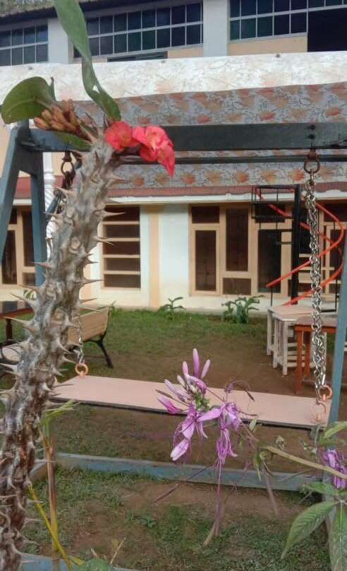 Clifton Inn Resorts主图