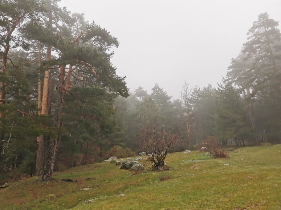 Valle de la Fuenfria