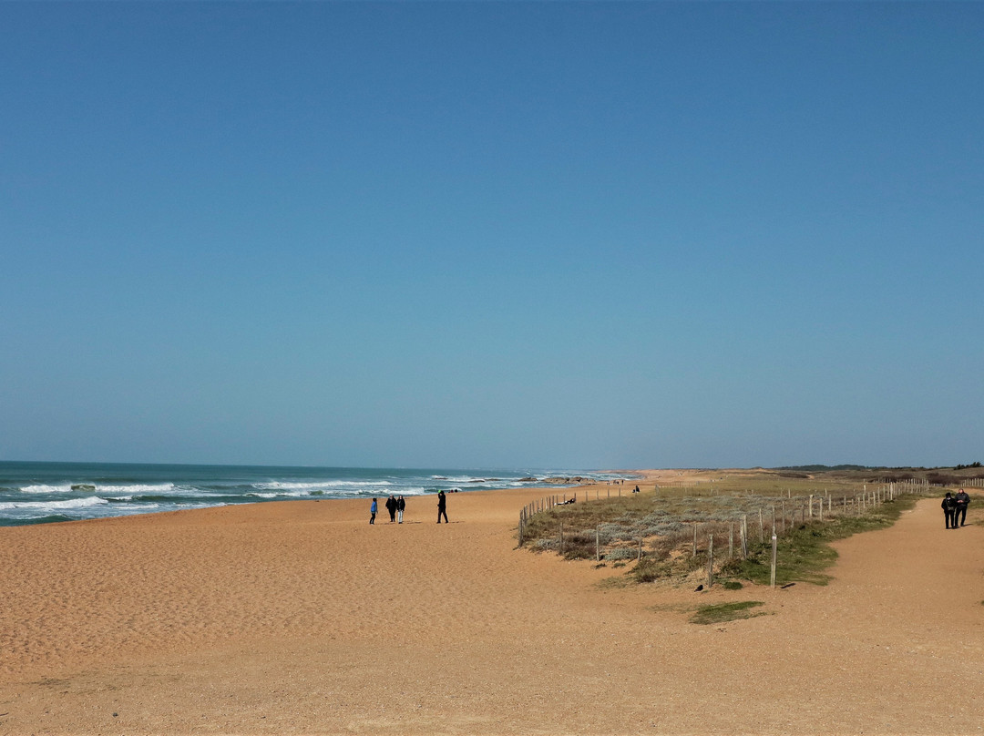 La Plage du Paracou-莱萨布勒多洛讷必去景点