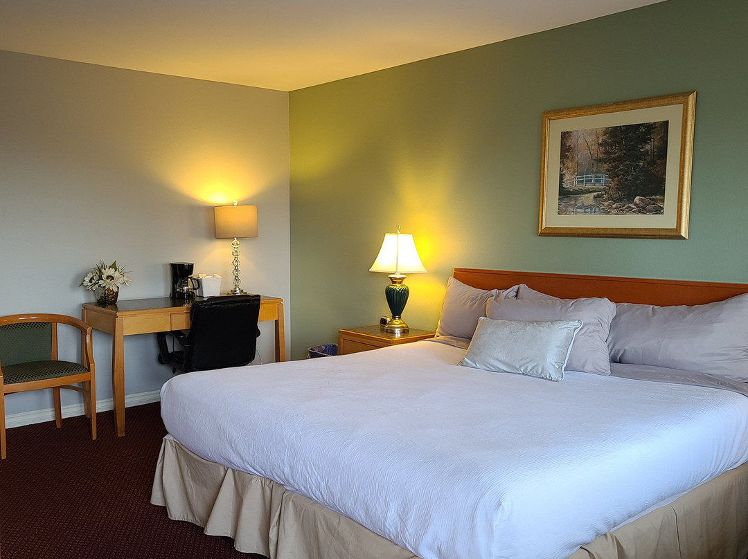 Tulip Inn Mt. Vernon主图