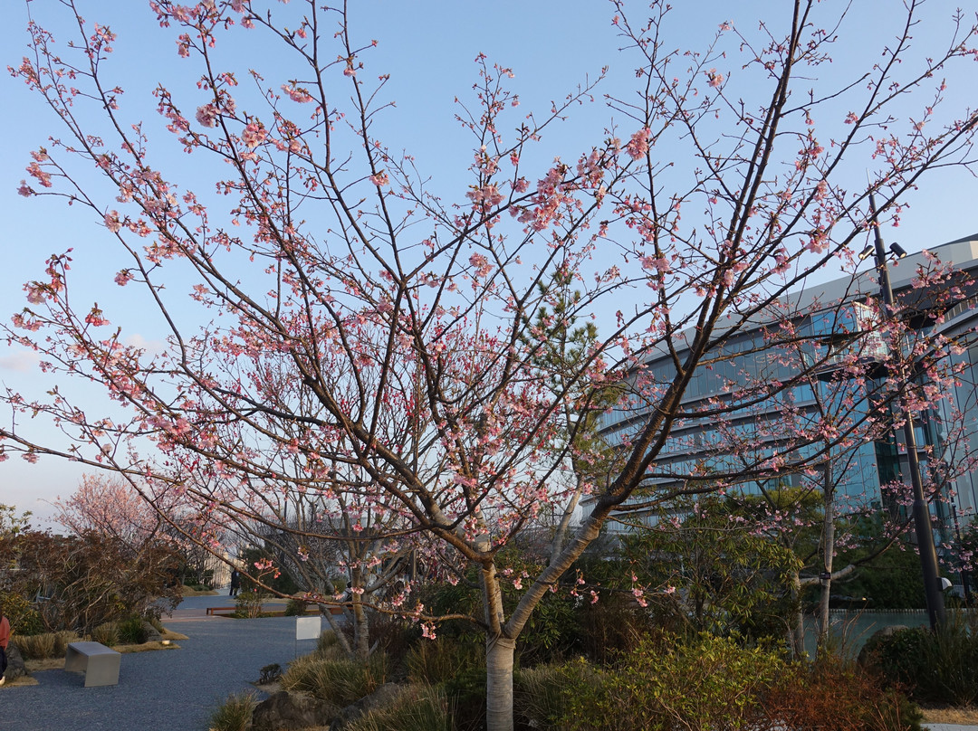 SAKURA MACHI Kumamoto景点图片