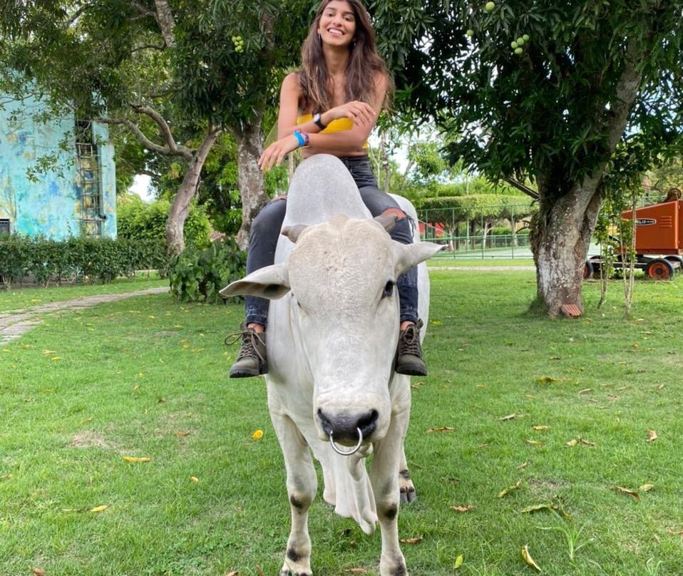 Hotel Fazenda Villa Rial主图