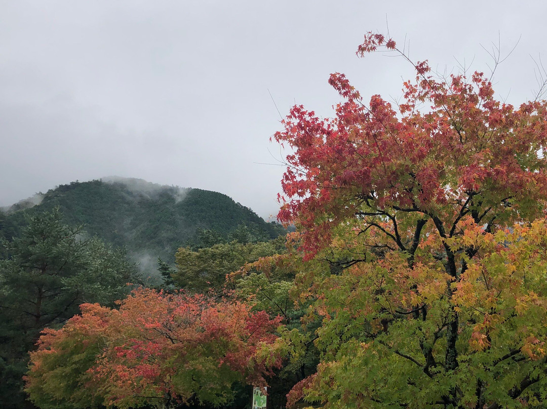 Besshi Copper Mine-新居滨市必去景点