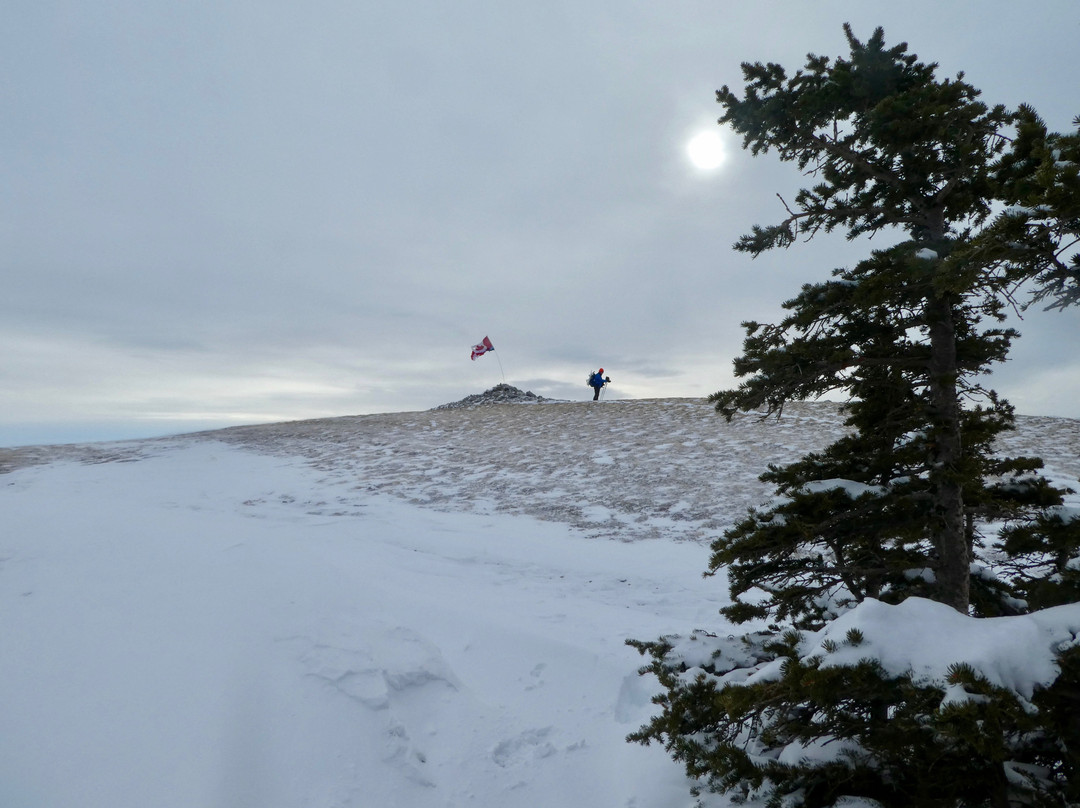 Prairie Mountain Hike景点图片