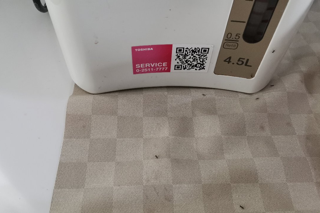Feungfah Litz主图