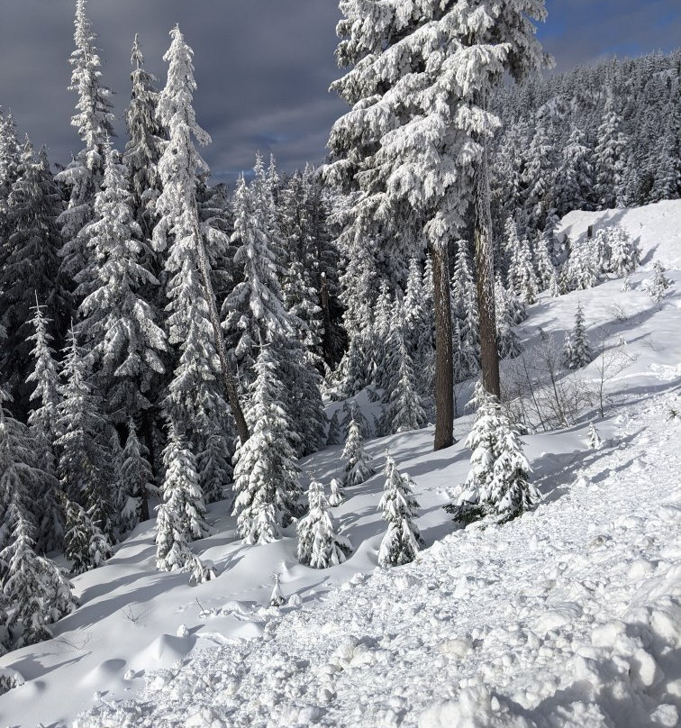 Mt Seymour-北温哥华必去景点