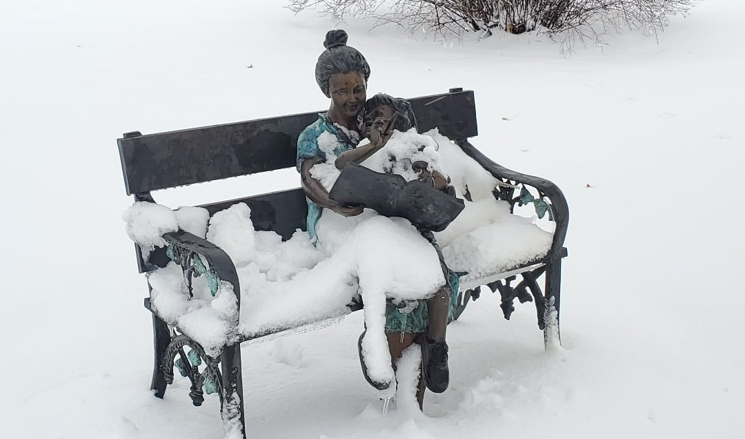 Foster Park-科科莫必去景点