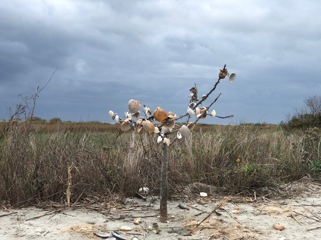 Folly Beach County Park景点图片