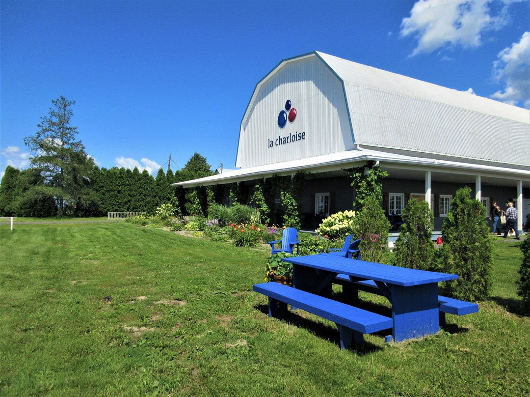 Vignoble la Charloise-Lotbiniere必去景点