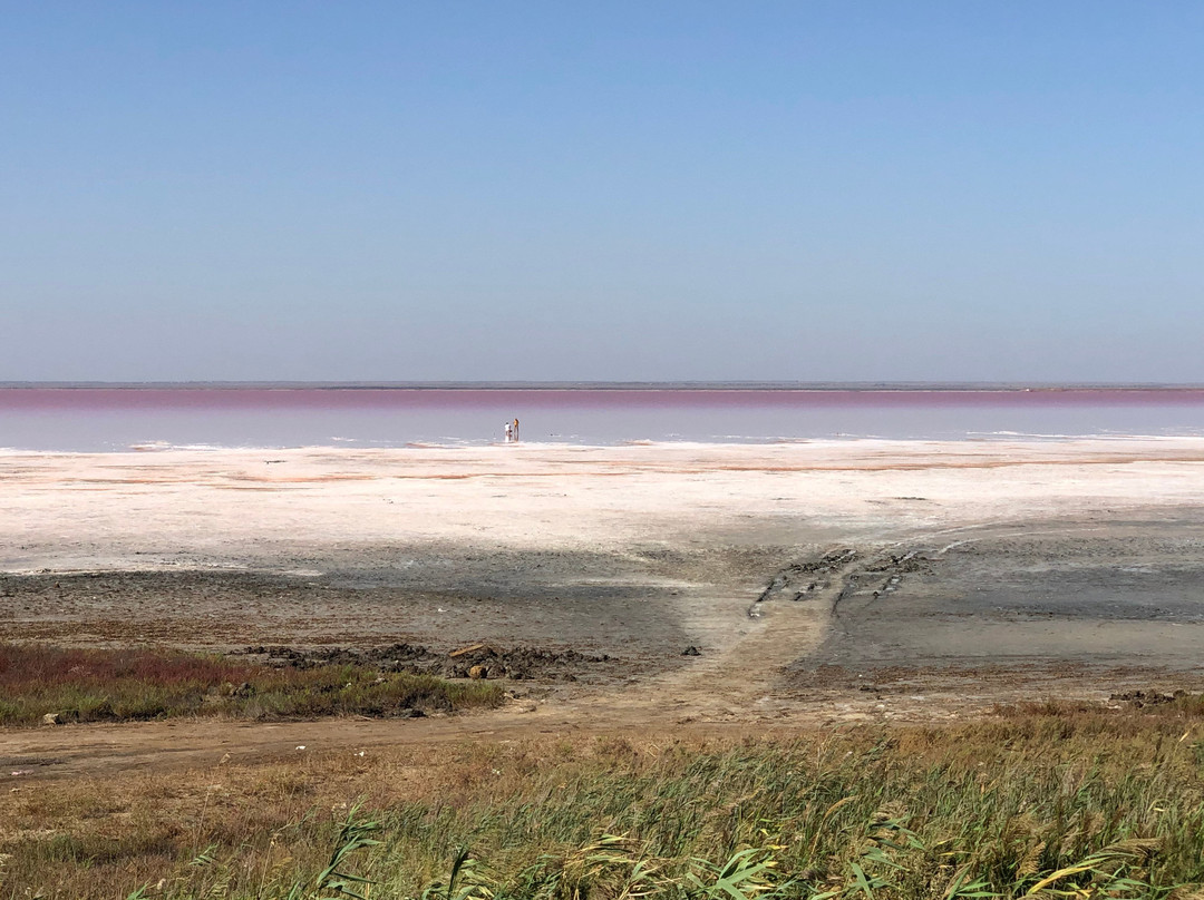 Sasyk-Syvash Lake-Yevpatoriya必去景点