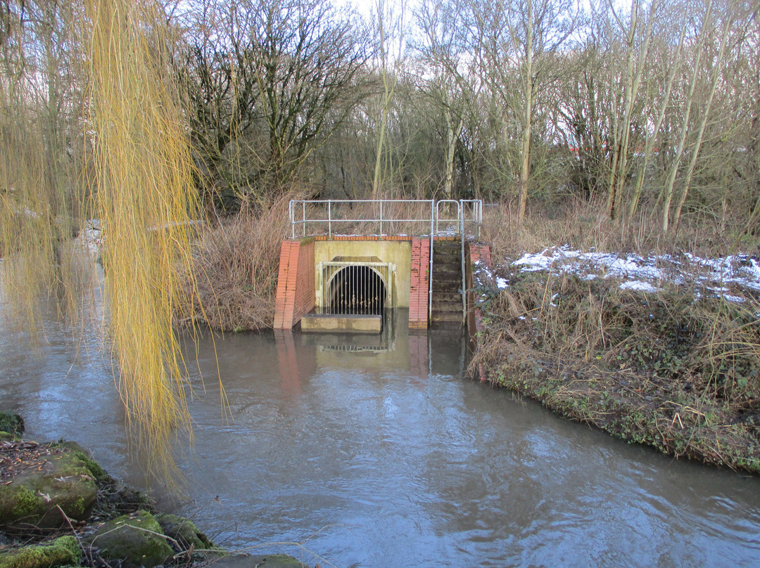 Lyme Valley Park景点图片