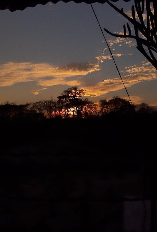 Agave Fields-瓦图尔科必去景点