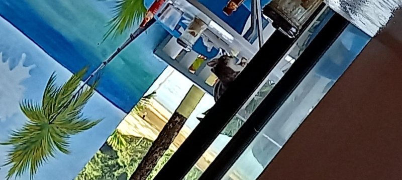 Kaz Kreol Beach Hotel Ocho Rios-餐饮