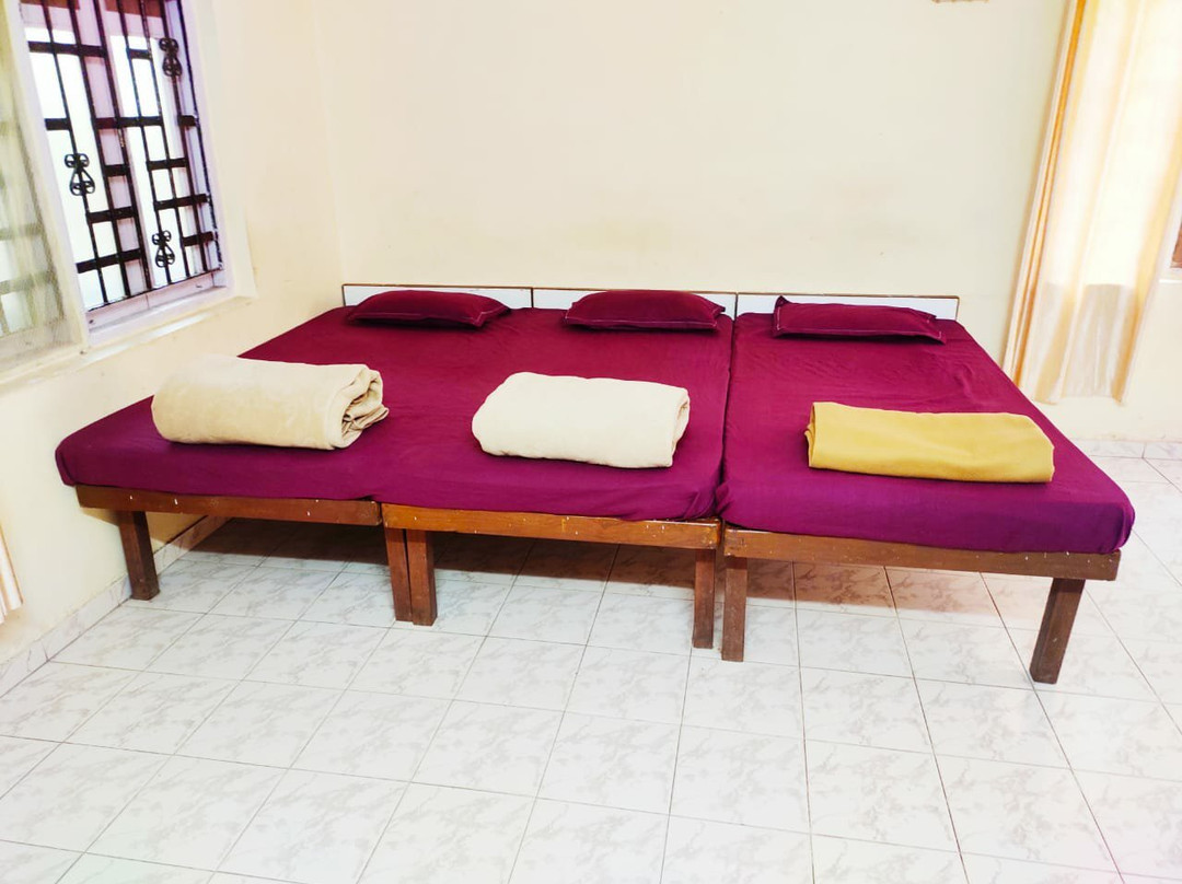 Domonica Holiday Homes主图