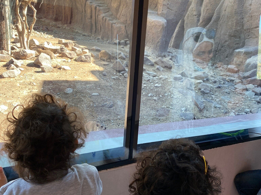 Al Hafiya Mountain Conservation Center-Kalba必去景点